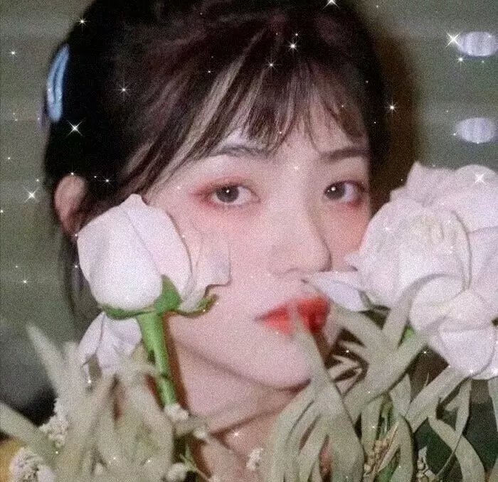 美国犯罪的最后日子